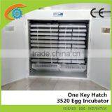 Hot Sale Full Automatic Solar 3520 Chicken Egg Incubator in Dezhou