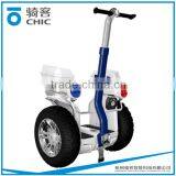 2 Wheel Cross-country Electric Bike With the Handrail