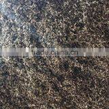 Strip Black Fungus Mushroom thumbnail-1