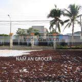 Champignon Noir thumbnail-5