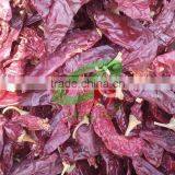 2015 Dry Clean Pressed Bag Paprika Pod thumbnail-1