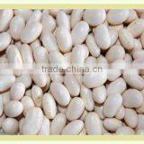 White Kydney Bean From Vietnam With Competitive Price thumbnail-1