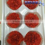 High quality single preserved real touch carnation natural flower