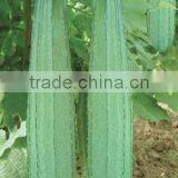 Ridge Seeds f1 Vegetable Seeds