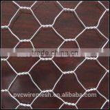 Chicken Coop Hexagonal Wire Mesh thumbnail-3