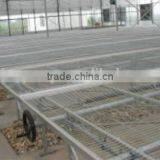 Young Plant Nursery thumbnail-2