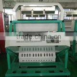 Intelligent CCD Dehydrated Garlic Flakes Color Sorting Sorter Machine thumbnail-2