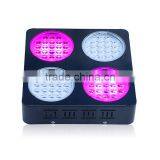 250W X-Grow Model Quite Fanless Passive Cooling LED Grow Light thumbnail-3