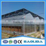 Walk In Greenhouse thumbnail-2