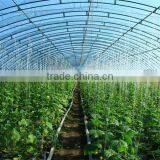 High Quality Tunnel Agricultural Greenhouse for Tomato thumbnail-4