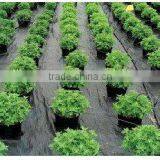 PP Weed Control Mat, Ground Cover thumbnail-1