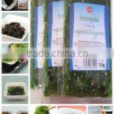Qingdao Youqing Aquatics Co., Ltd. company overview - view 3 thumbnail
