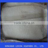 Frozen Giant Squid Fillet (Dosidicus Gigas)