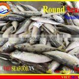 FROZEN W/R ROUND SCAD thumbnail-5