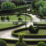 Lawn Mower M1G-ZP3-300C 1000W thumbnail-4