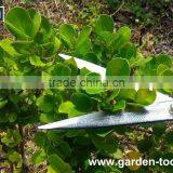 Professional Agriculture Straight Hedge Shears thumbnail-4