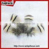 Wholesale Down Pheasant Partridge Plumage Natural Pheasant Feathers Prices thumbnail-5