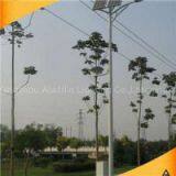 High-quality Solar Street Light thumbnail-1