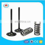 China Motorcycle Parts Engine Valve for ZongShen ZS172FMM 250cc thumbnail-3