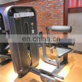 Wholesale Powerful Bodybuilding Tools Sports Machine Lower Pin Loaded Back Extension Equipment for Sale SES31 thumbnail-4