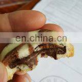 PLC Touch Screen Double Fillings Two Colors Biscuit Cookies Encrusting Machine for Sale thumbnail-4