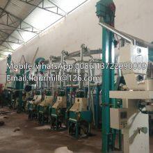 Project Turnkey Wheat Grinding Machine 20T Factory Popular Wheat Grinder Wheat Flour Making Machine thumbnail-3