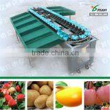 According to Diameter Apple Fruit Sorting Machine thumbnail-5