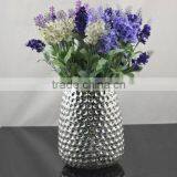 Hand Blown Glass Vase Terrarium Plants Factories of Glass Bottles