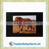 lion panting wall mirror wihin animal