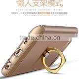 Haworthia Radula Variegated thumbnail-2