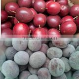 FRESH/FROZEN PASSION FRUIT _ HIGHT QUALITY _ GOOD PRICE