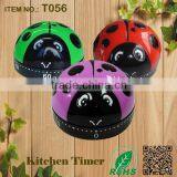China Supplier Beetle Shape Mechanical Kitchen Timer