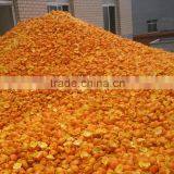 Citrus Peeling Juicers thumbnail-3