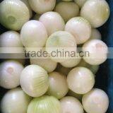 fresh yellow onion