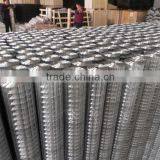 Free Sample Piece/304 Stainless Steel Wire Netting / AISI316 304 Welded Wire Mesh/SS Wire Mesh Filter thumbnail-3