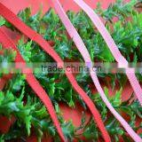 Supply High Quality 11MM Pink PP Ribbon Webbing thumbnail-2
