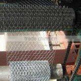 Galfan/hot Dipped Galvanized/PVC/PE Coated Gabion Mesh