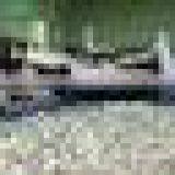 VIETNAM DESSICATED COCONUT HIGH FAT BEST QUANLITY thumbnail-2