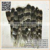 Bird Feather Big Eagle Tip Feather For Indian Headdress thumbnail-2