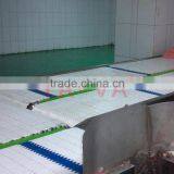 Food Conveyor for Slaughtering Industry/modular Belt Conveyor Line thumbnail-3