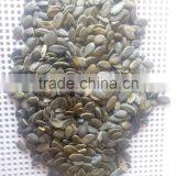 China Pumpkin Seed With Good Quality for Sale