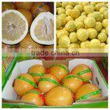 2015 Fresh Pomelo Honey Pomelo Sweet Pomelo for Export