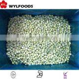 Price for Frozen Baby Broad Beans thumbnail-6