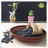 JSX Types Of Size500-550 Canned Color Selected Black Beans For Sale thumbnail-2
