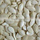 Shine Skin Pumpkin Seeds thumbnail-1