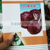 Best quality Hybrid F1 red cabbage seeds