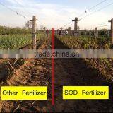 Compound NPK Fertilizer With SOD For Fruit Trees And Vegetables thumbnail-3