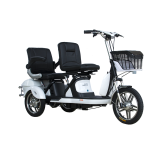 Electric Bike Electric Tricycle Two Seats With Lead Acid Battery CE thumbnail-2
