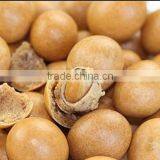 Butter Peanuts Processing Line thumbnail-1