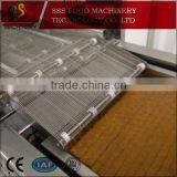 High-Technology Automatic Continuous Fryer